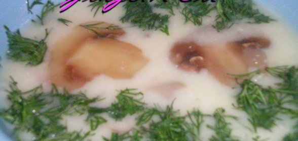 Картофельный суп по-старочешски с грибами (Bramborová polévka)