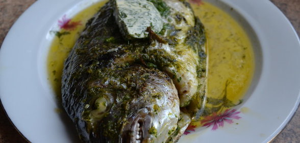 Дорада запеченная с песто из петрушки и укропно-лимонным маслом
