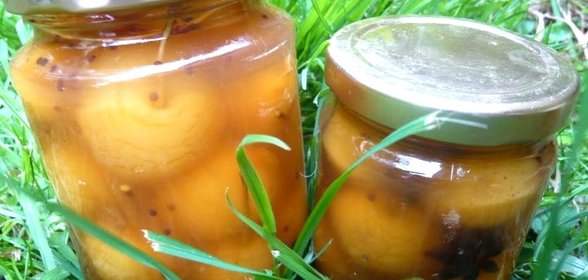 Яблоки, моченые на зиму