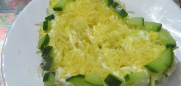 Щи из квашеной капусты