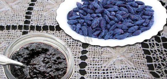 Варенье из жимолости на зиму