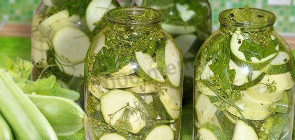 Соленые кабачки на зиму