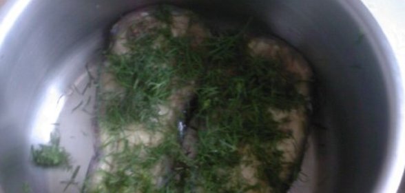 Заготовка Баклажановый рай(возможно вариант)