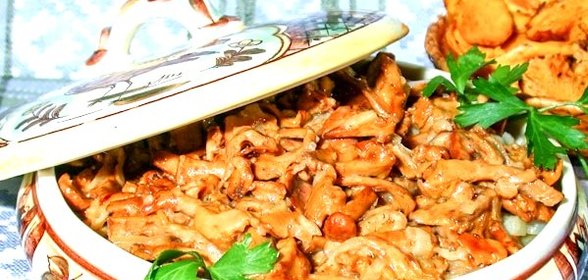 Лисички, жареные в сметане