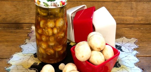 Закатка шампиньонов