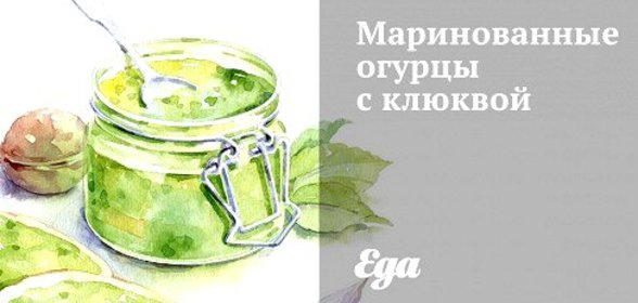 Маринованные огурцы с клюквой