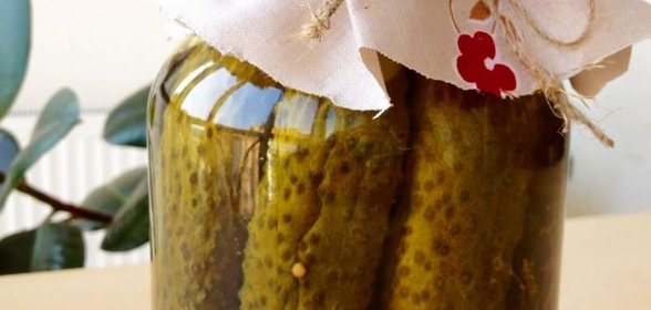 Маринованные огурцы без стерилизации на зиму с уксусом