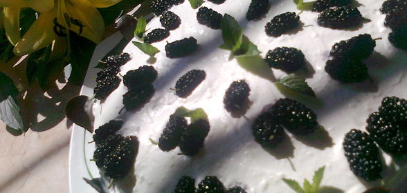 Торт-пирожное с шелковицей