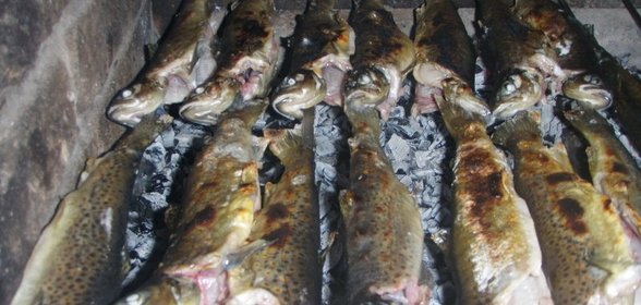 Армянская форель на углях