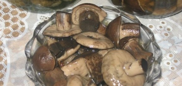Маринованные подберезовики на зиму
