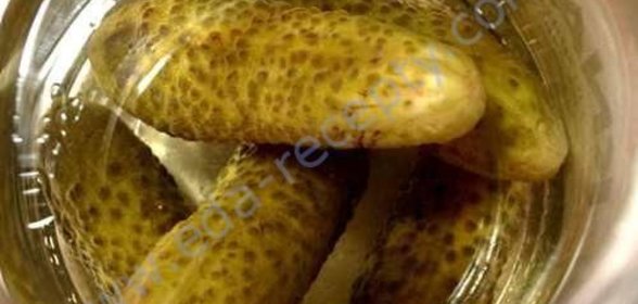 Маринованные острые огурцы на зиму с уксусом