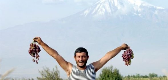 Горошек зеленый по-итальянски