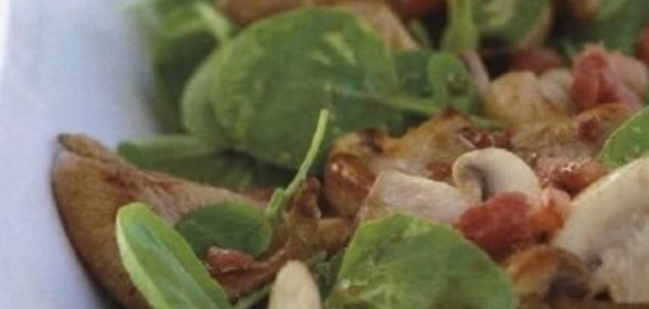 Канапе с кулечками из твердокопченой колбасы и сыра