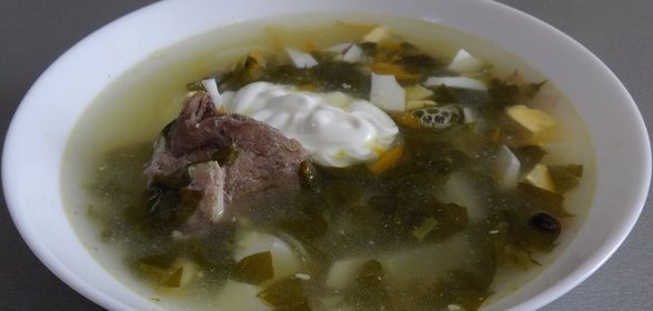 Зеленый борщ с консервированным щавелем