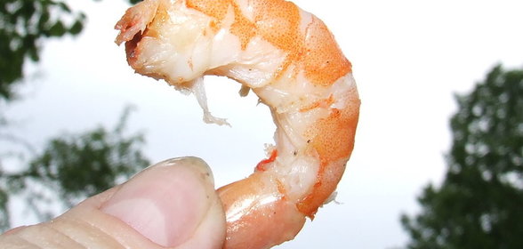 креветки к пиву