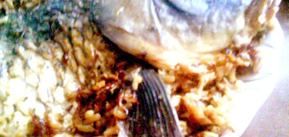 Карп книжный на подстилке из квашеной капусты