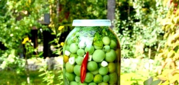 Засолка зелёных помидоров холодным способом