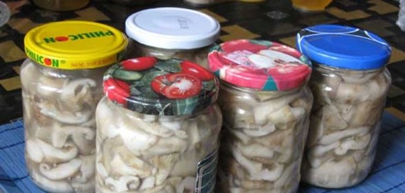 Засолка грибов