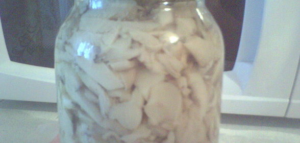 Вёшенки (грибы)