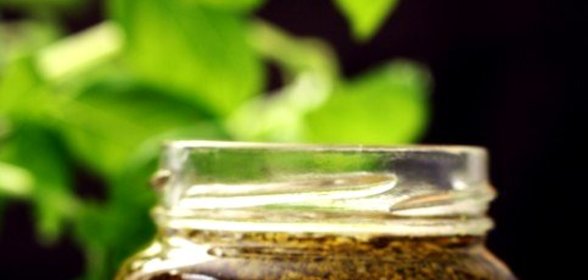 Песто из лука-порея с лимонной цедрой