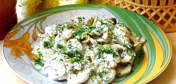 Закуска из консервированных шампиньонов