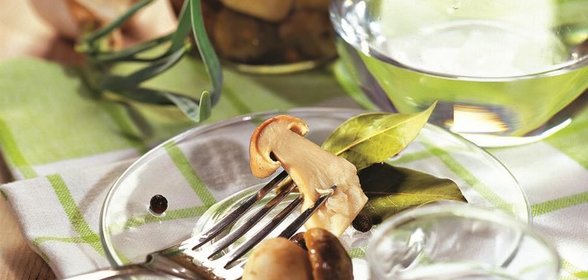 Засолка грибов. Горячий способ