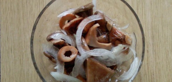 цыпленок по-пражски