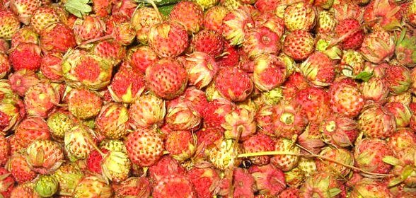Варенье из луговой клубники
