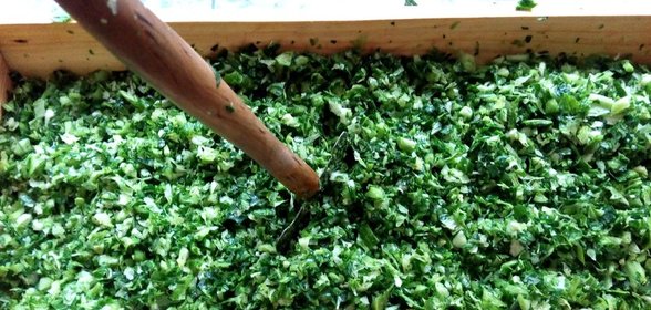 Серая квашеная капуста