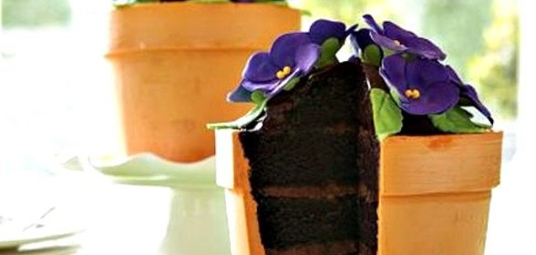 Торт Цветок в горшке