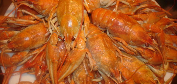 Раки вкуснейшие только под пиво