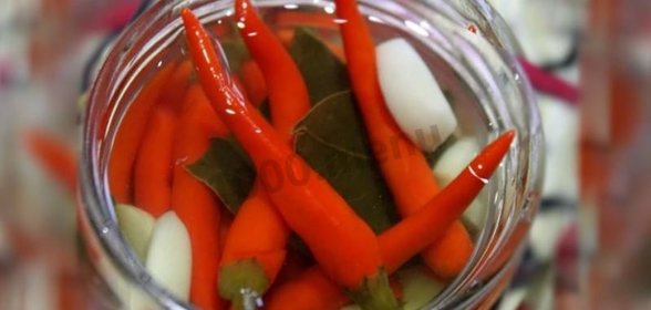 перец чили маринованный на зиму