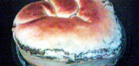 Дрожжевой рулет с печеночным паштетом и рисом