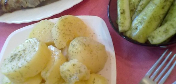 Фантастически мягкое мясо для ШАШЛЫКА за полчаса+блиц рецепт малосольных ОГУРЧИКОВ)))