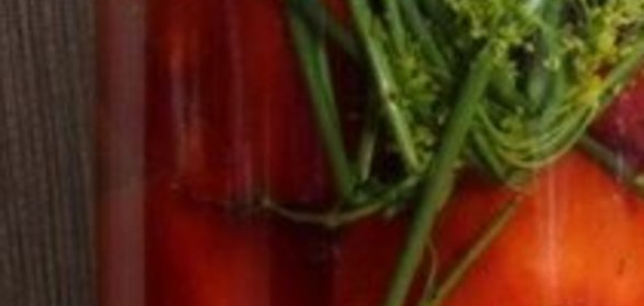 Малосольные помидоры