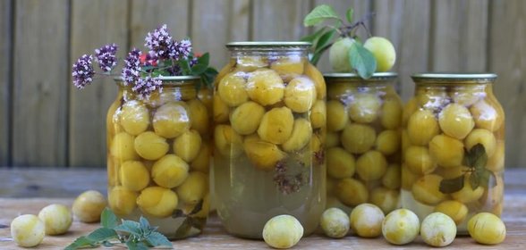 Желтые сливы консервированные с травами