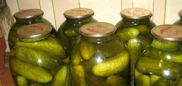 Огурцы в банку на зиму
