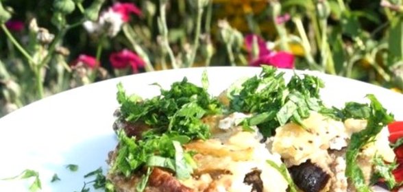 Баклажаны с фаршем на сковороде