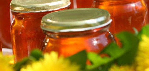 Мед из одуванчиков