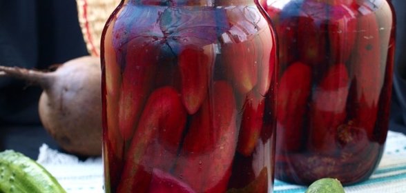 Огурцы маринованные со свеклой