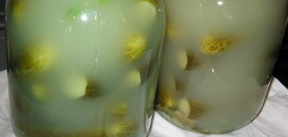 Огурцы соленые консервированные