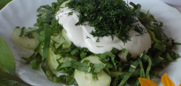 Салат из свежих огурцов и щавеля