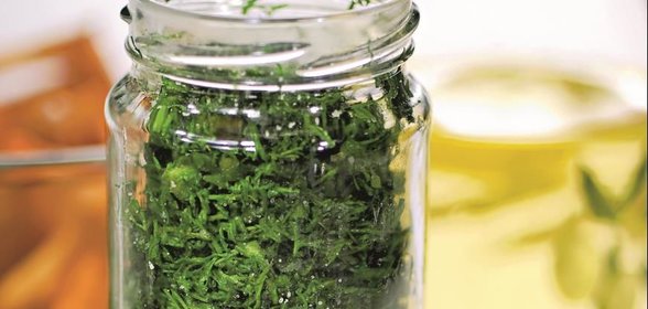 Укроп на зиму