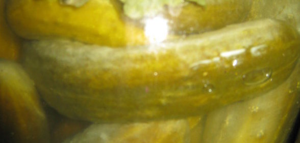 Огурцы с дубовыми листьями