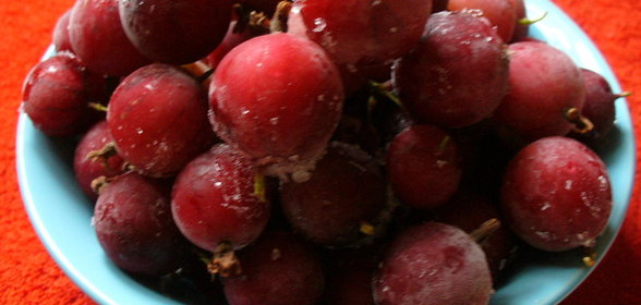 запеканкаКРЫЖ