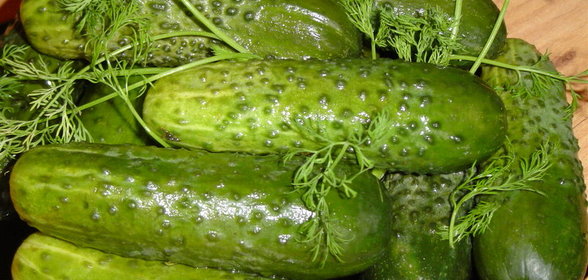 Огурцы малосольные - рецепт моей прабабушки