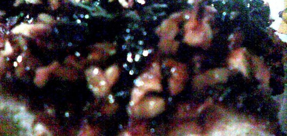 отбивная с помидором сыром