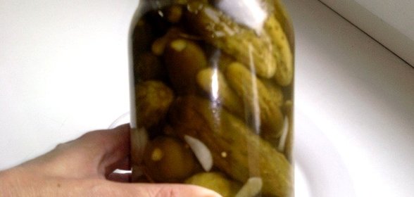 Огурцы по-болгарски на зиму