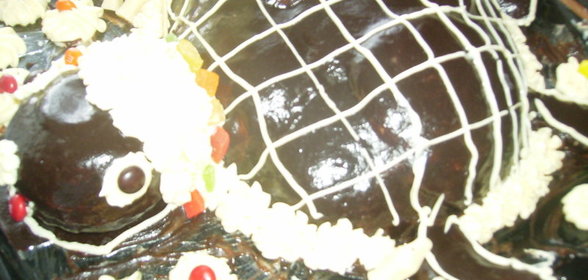 Торт Жирная черепаха на отдыхе(вариант)