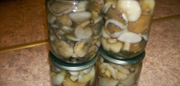 Грибок - в погребок (маринованные маслята)